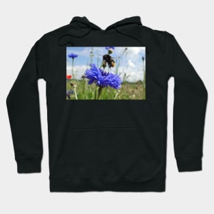 Flight Bee Incoming Hoodie